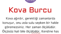 KOVA BURCU YORUMU