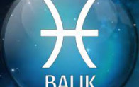 2023 BALIK BURCU YORUMU