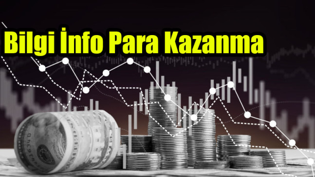 Bilgi İnfo Para Kazanma